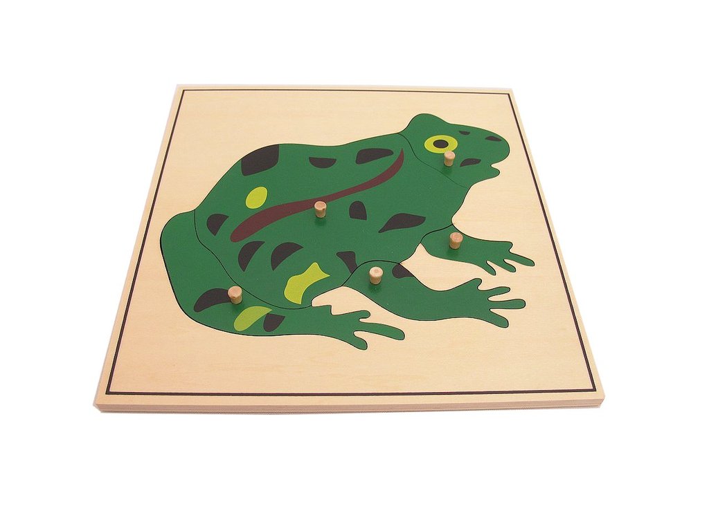Montessori Frog Puzzle