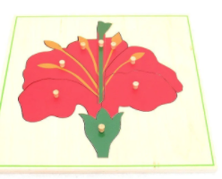 Parts of the Flower Puzzle Montessori