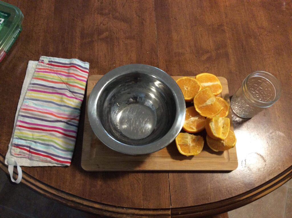 Squeezing Oranges Making Orange Juice | Montessori Practical Life