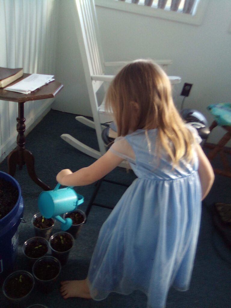 Care of environment, Montessori Toddler, Gardening with Children