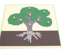 Parts-of-a-Tree-Puzzle Montessori 