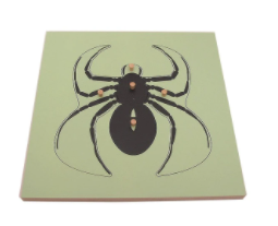 Montessori Spider Puzzle