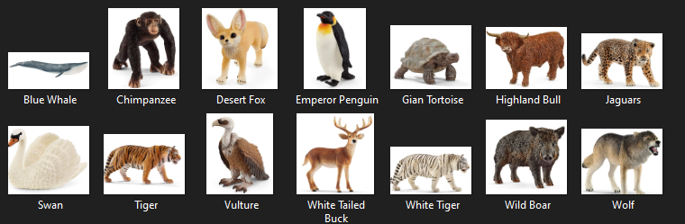 Continent Boxes – Animals
