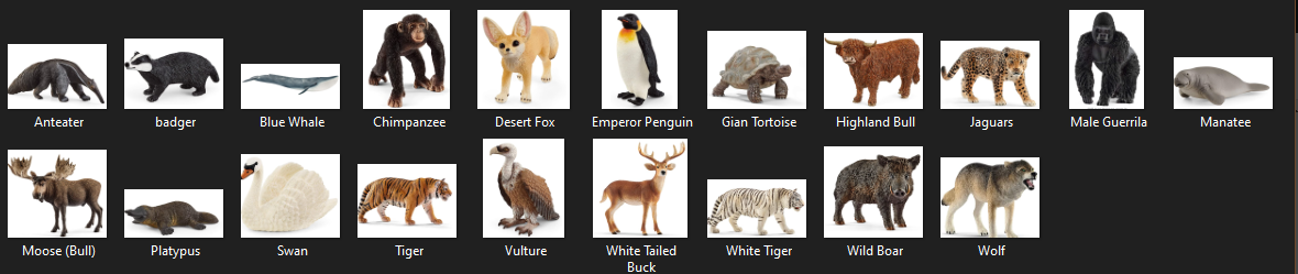 Continent Boxes – Animals