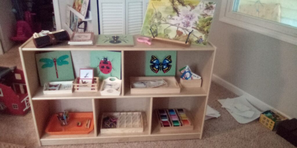 Butterfly and Insect Units on the Shelf | Montessori Preschool at Home