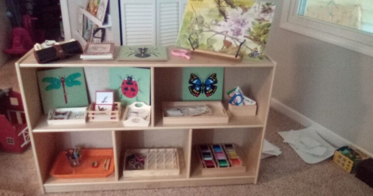 Montessori Bug Unit